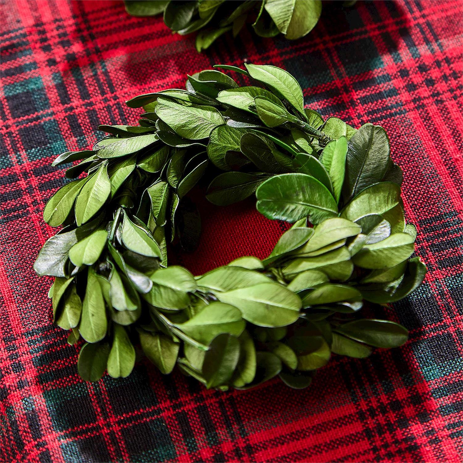 Preserved Boxwood Wreath Napkin Ring - Set of 4